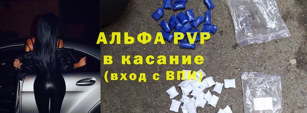 индика Лабытнанги